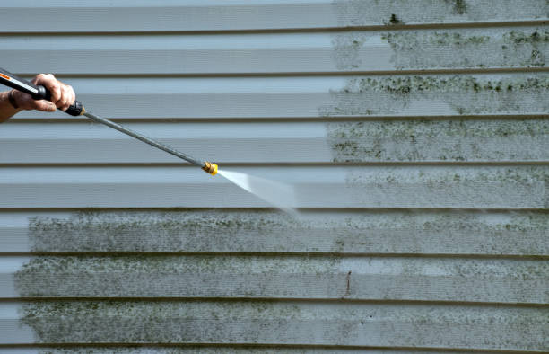 Best Exterior Home Cleaning  in Atkins, AR